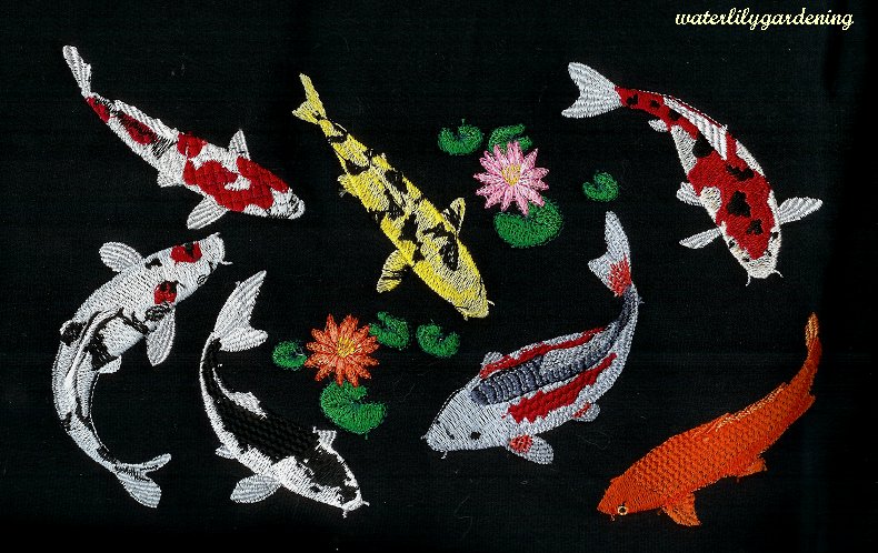 7 Koi with 2 water lilies Design #3